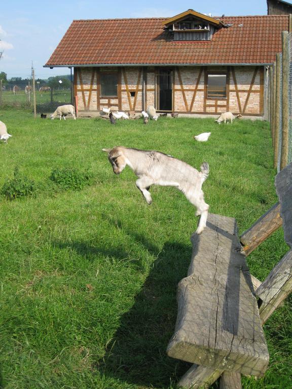 Ferienhof Roesch Bad Wurzach Luaran gambar
